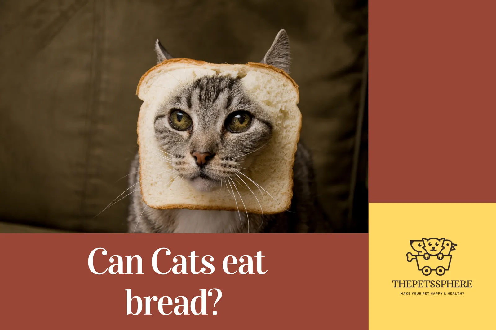can cats eat bread