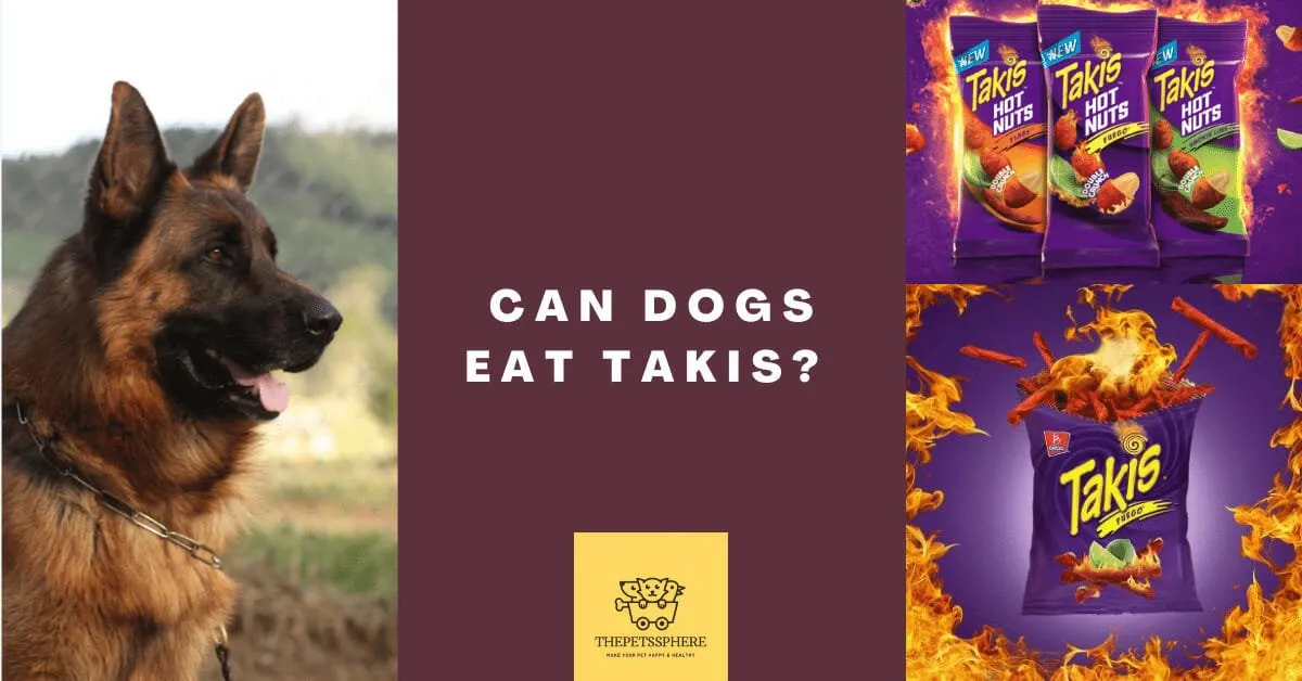 Can Dogs Eat Takis