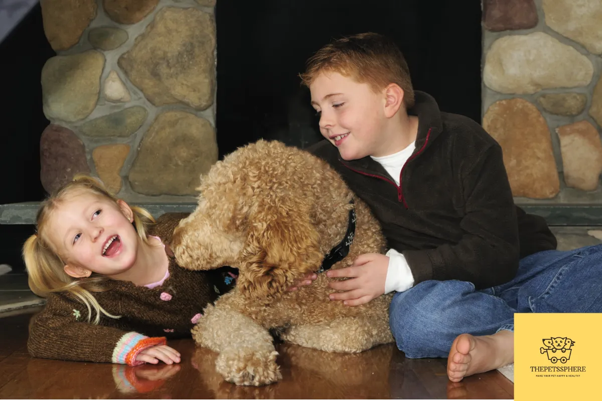 poodles with kids