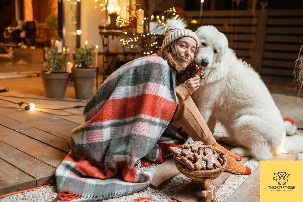 can dogs eat gingerbread