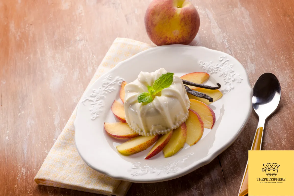 vanilla pudding