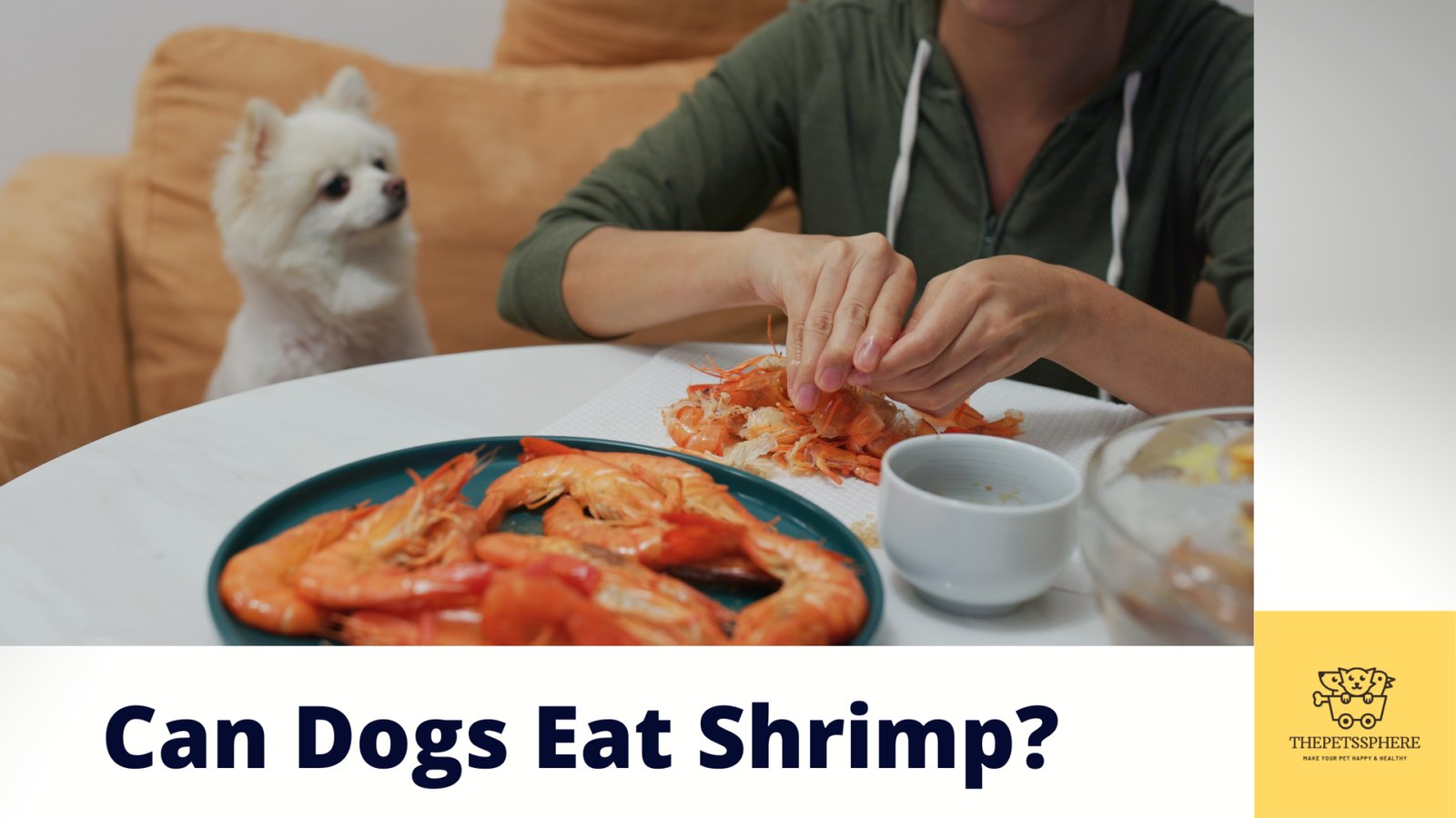 Can Dogs Eat Shrimp? Surprising Health Benefits Explained | The Pet's Sphere