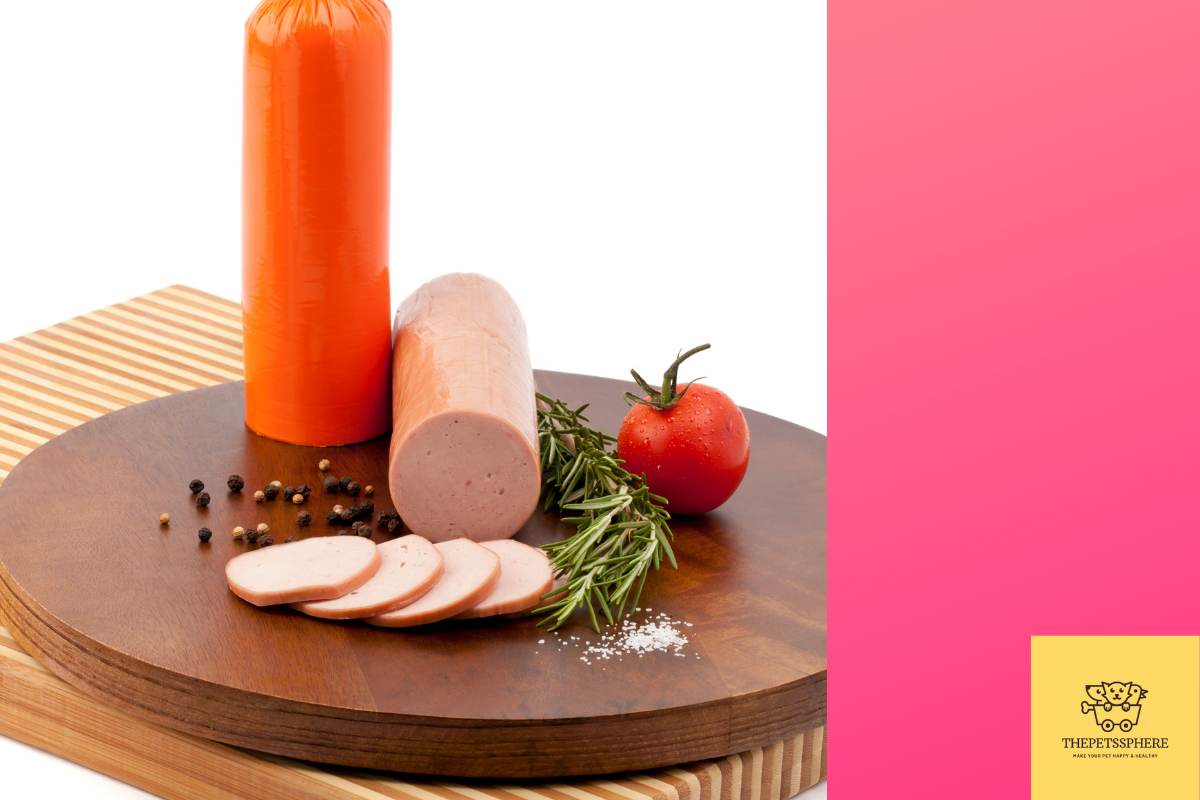 Can Cats Eat Bologna? Everything You Should Know | The Pet's Sphere