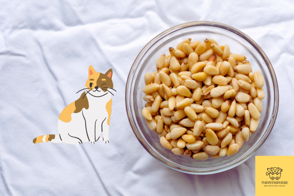 can cats eat pinenuts