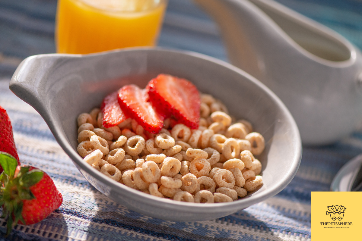 can-cats-eat-cheerios-homemade-recipe-included-the-pet-s-sphere