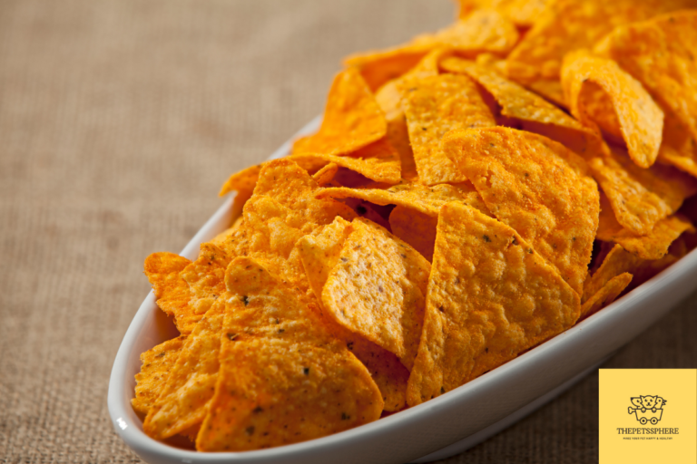 Can Dogs Eat Tortillas? Homemade Recipe Included The Pet's Sphere