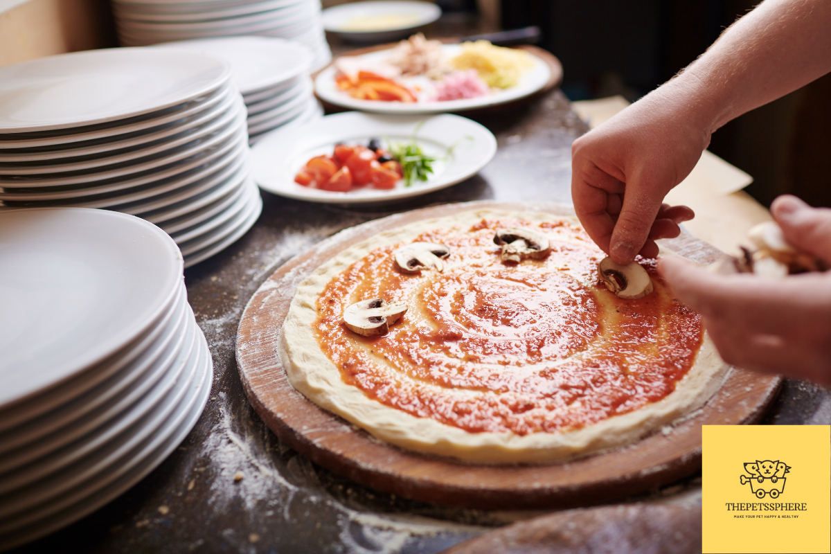Can cats eat pizza? Everything You Need to Know The Pet's Sphere