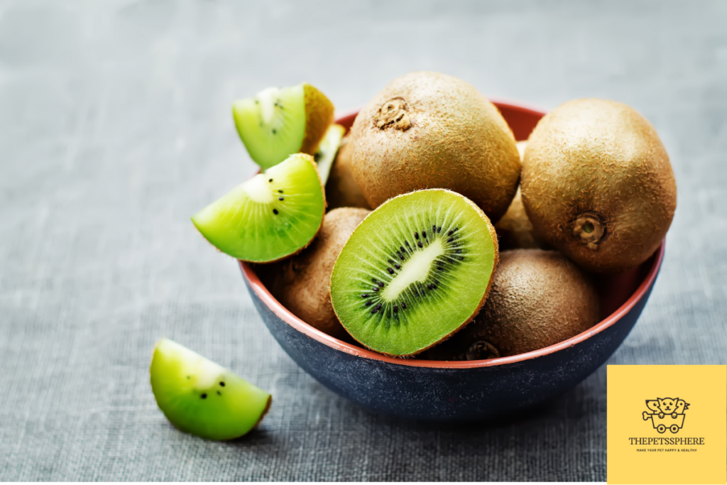 kiwi fruit
