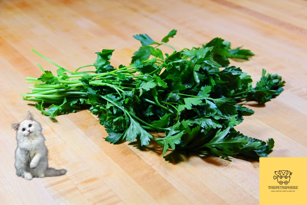 can cats eat parsley