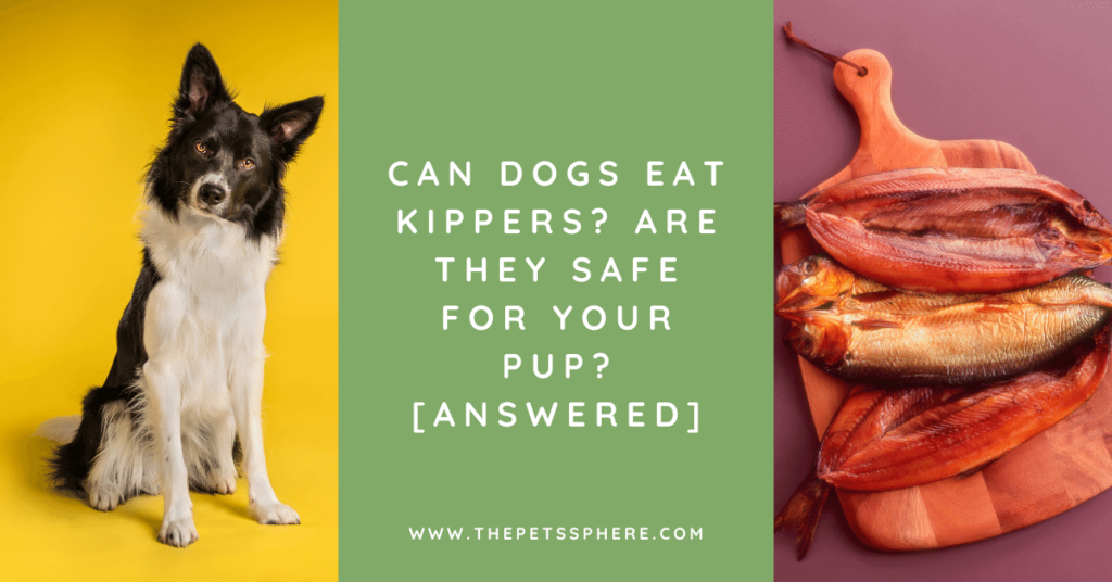 Can Dogs Eat Kippers_ Are they Safe for Your Pup_ [ANSWERED]