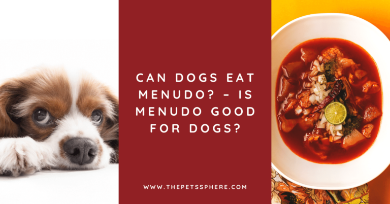 Can Dogs Eat Menudo_ – Is Menudo Good for Dogs - featured image
