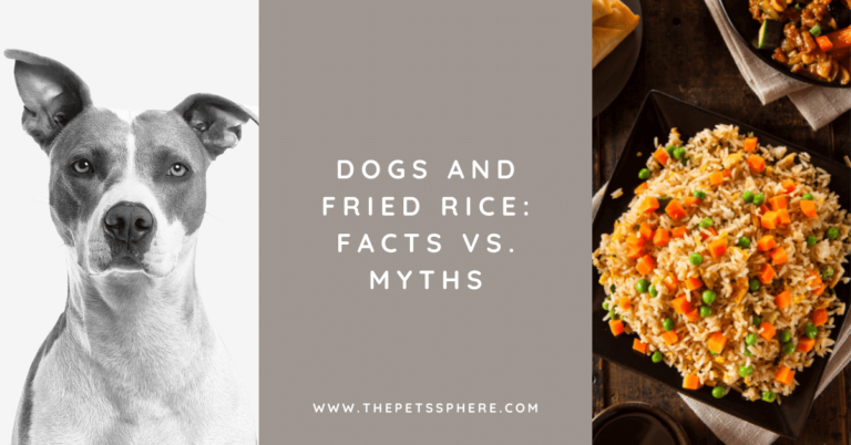 Dogs and Fried Rice_ Facts Vs. Myths