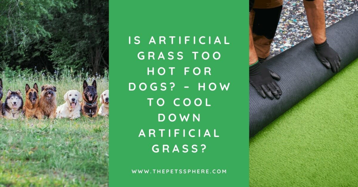 does artificial grass get too hot for dogs
