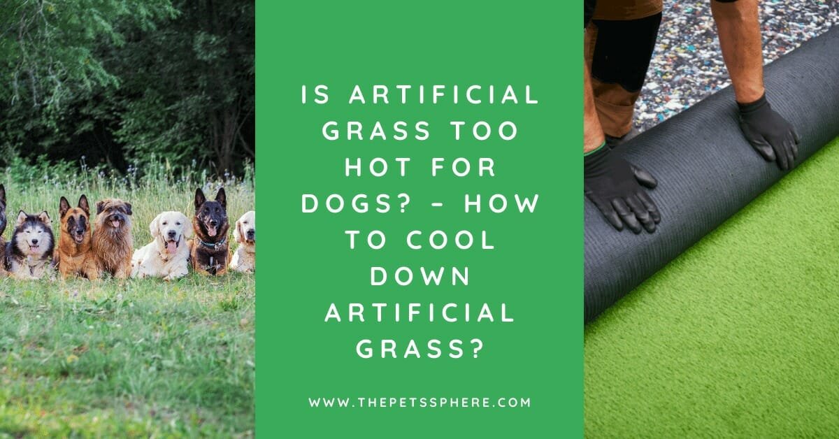 Does Artificial Grass Get Too Hot For Dogs