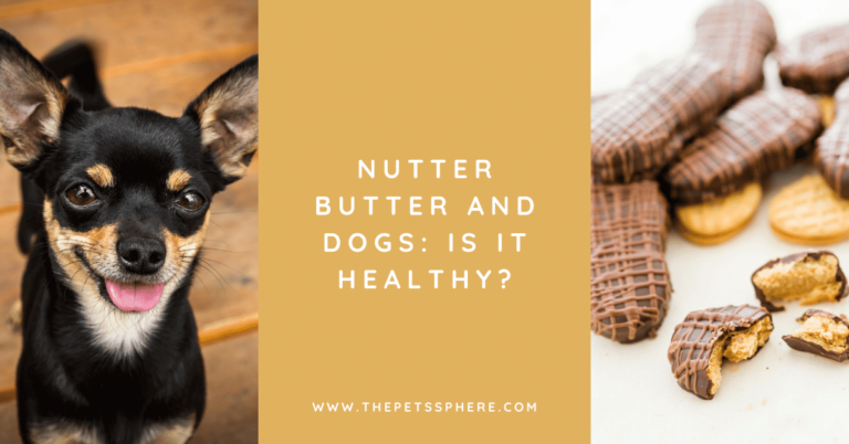 Nutter Butter and Dogs_ Is it healthy_