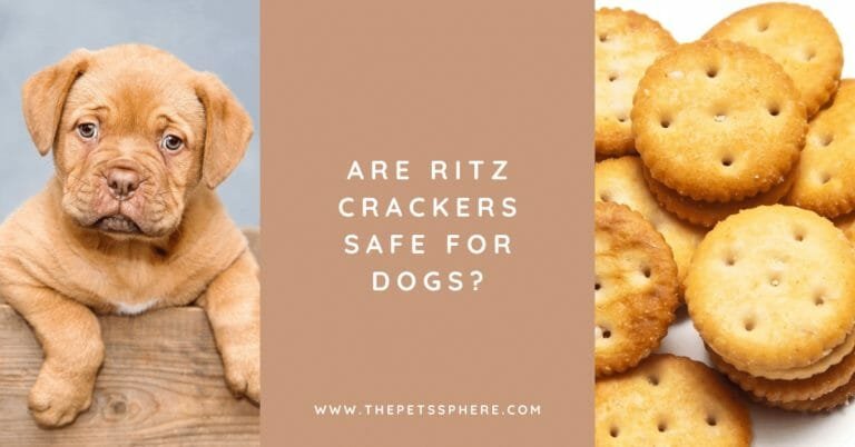 Are Ritz Crackers Safe for Dogs_