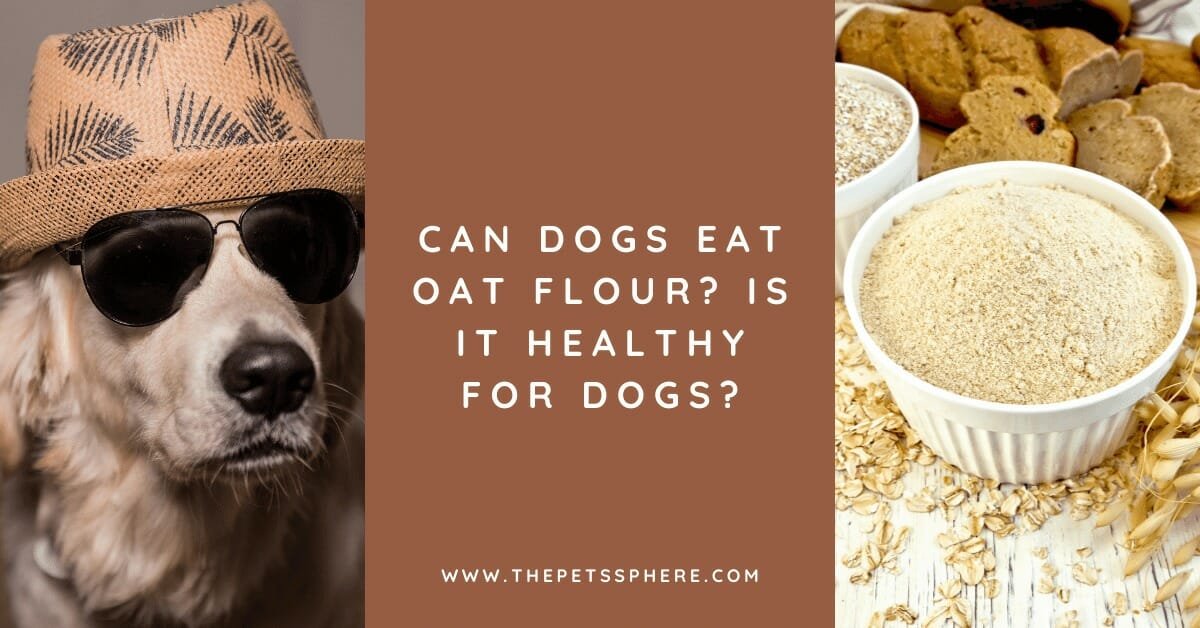 oat flour for dogs