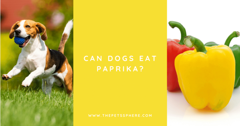 Can Dogs Eat Paprika