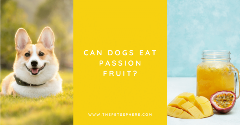 Can Dogs Eat Passion Fruit