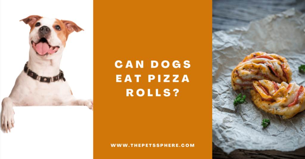 Can Dogs Eat Pizza Rolls