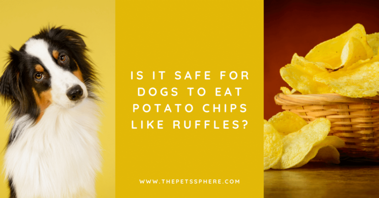 Is It Safe for Dogs to Eat Potato Chips Like Ruffles_