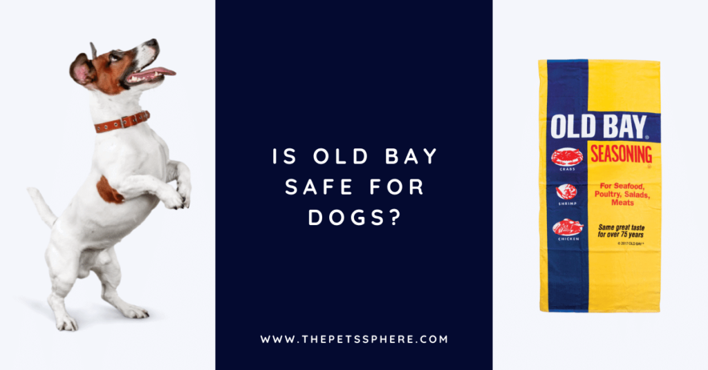 Is Old Bay Safe for Dogs_