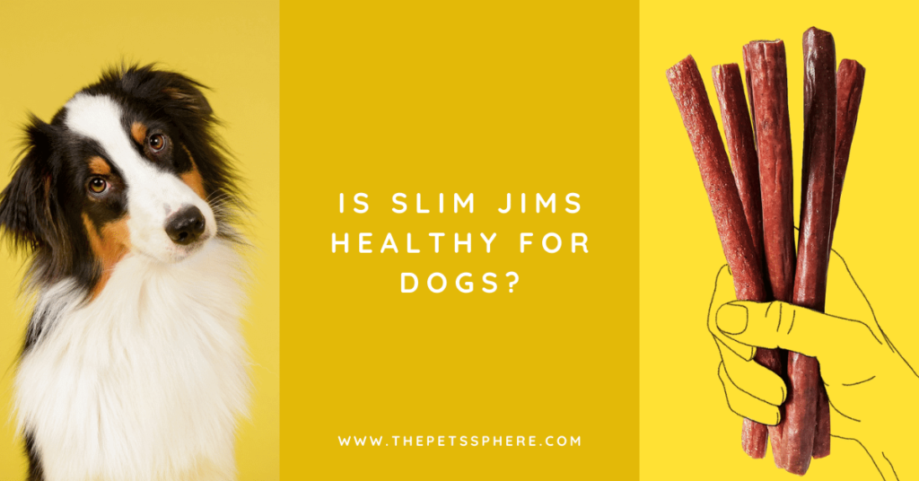 Is Slim Jims Healthy for Dogs_