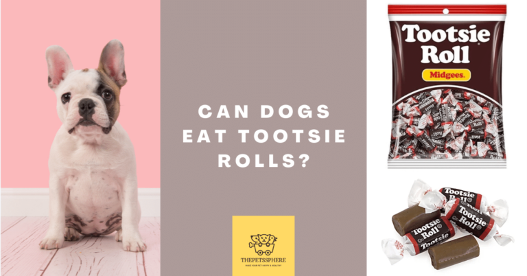 Can Dogs Eat Tootsie Rolls