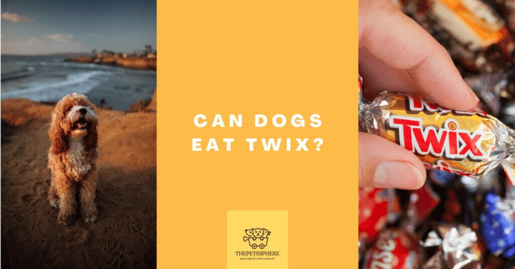 Can Dogs Eat Twix