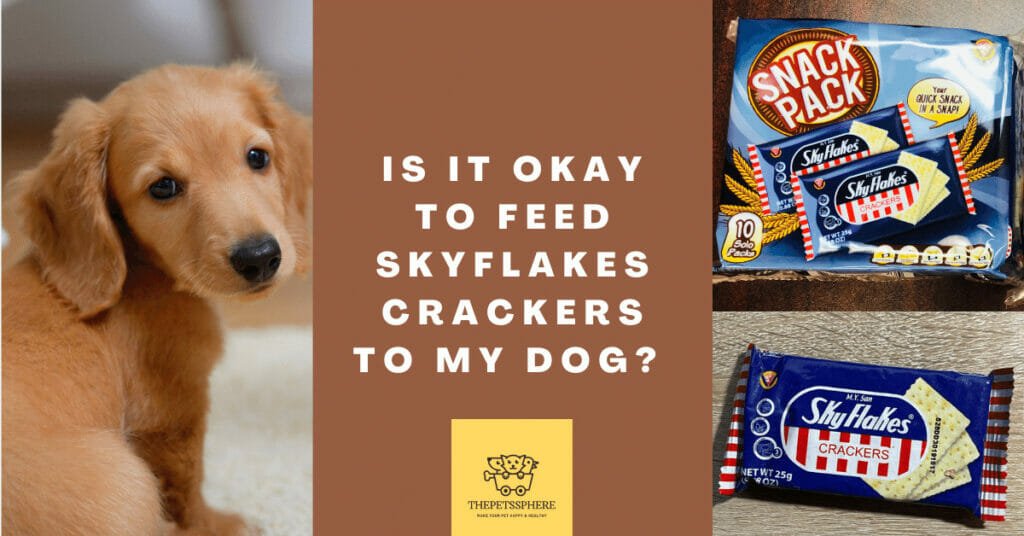 Is It Okay to Feed Skyflakes Crackers to My Dog