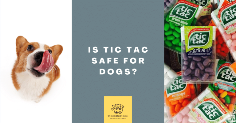 Is Tic Tac safe for Dogs