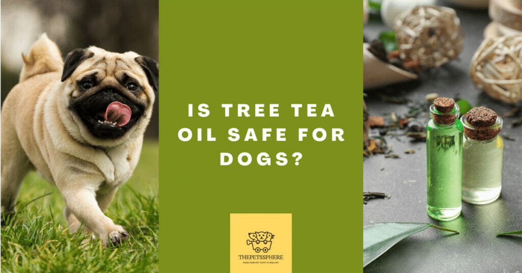 Is Tree Tea Oil Safe for Dogs