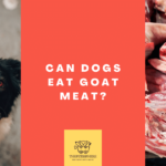 Can Dogs Eat Goat Meat