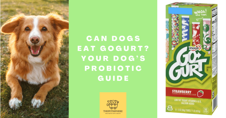 Can Dogs Eat Gogurt_ Your Dog’s Probiotic Guide